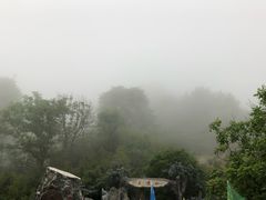 -王顺山国家森林公园