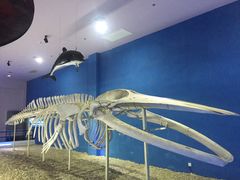 -福州罗源湾海洋世界旅游区