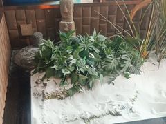-江小渔鲜鱼火锅(西二道街店)