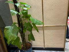 -刘胖子家常菜·蹄花焖藕(中南店)