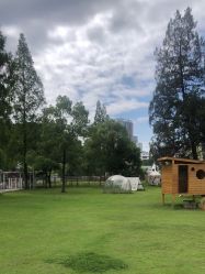 -糖果baby儿童摄影定制馆(外景店)