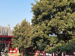 -大慈恩寺(大雁塔)