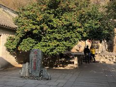 -青岛崂山太清宫