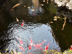 -鲤院·新中式美学·庭院餐厅(夫子庙店)