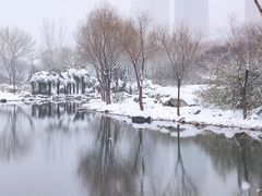 -郑东新区湿地公园