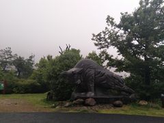 -祁门牯牛降观音堂风景区