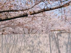 -龙美术馆(西岸馆)