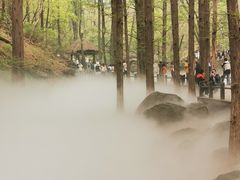 -国家植物园南园