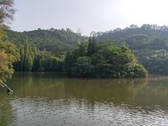 -滴水岩森林公园