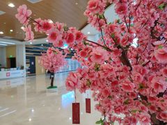 -厦门市图书馆(集美新城馆区)