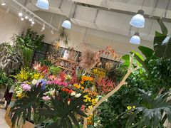 -T11生鲜超市(朝阳公园店)