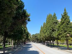 -东北大学(南湖校区)