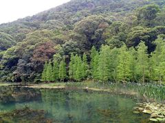 -广州市石门国家森林公园