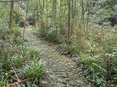 -法云古村