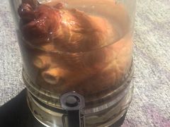 -秃鹫湾·推理大师沉浸式实景演绎推理剧场