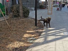 -中粮·祥云小镇