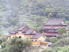 -树山生态村
