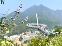 -野三坡刘家河高山漂流