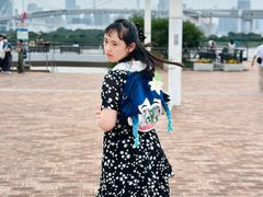 -台场海滨公园船码头
