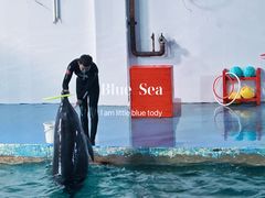 -北戴河圣蓝海洋公园