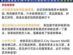 -圣淘沙天际线斜坡滑车