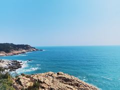 -广东惠东海龟国家级自然保护区