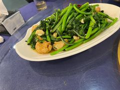 -金龙寨(龙城路店)