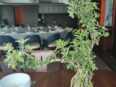 -龙宴海鲜城(经中路店)