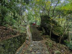 -北仑森林植物园