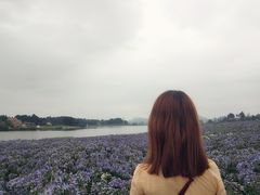 -云漫湖生态度假公园