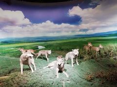 -敕勒川草原文化旅游区