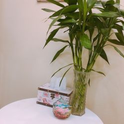 -芳朵美容养生SPA