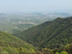 -午潮山国家森林公园
