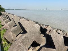 -上海滨江森林公园