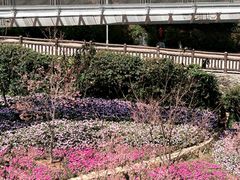 -狐尾山公园