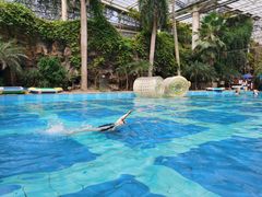 -龙达温泉生态城