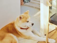 门面-餐酒吧Com-ing Bar(上海路店)