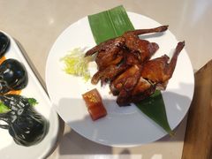 陈皮妙龄乳鸽-蔡澜港式点心(皇庭广场店)