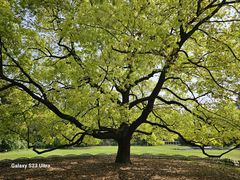 -共青国家森林公园-售票处
