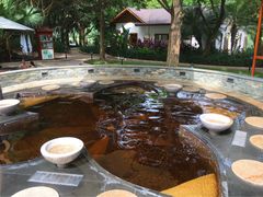 -碧水湾温泉
