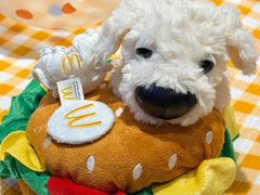 -麦当劳(北京路广百广场店)