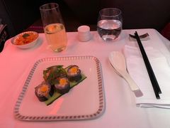 -新加坡航空公司(ION)