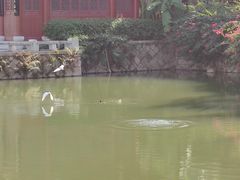 -乌山风景区