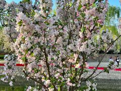 -元大都城垣遗址公园