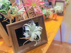 -Rabbit Cafe私房西餐甜点咖啡(栖霞路店)