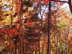 -长春市南湖公园