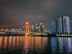 -武汉两江游览·夜游长江(汉口粤汉码头)