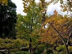 -太湖饭店玉兰厅(自助餐厅)