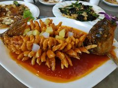 -大眼锅贴饺子(河西店)