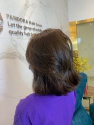 -潘多拉Hairsalon